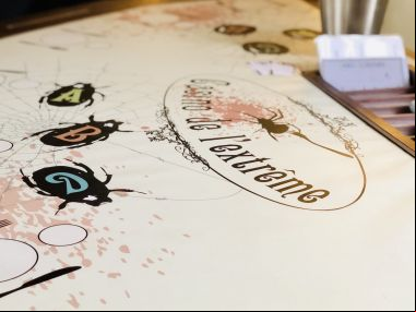 activite-challenge-experience-casino-extreme-instectes-seminaire