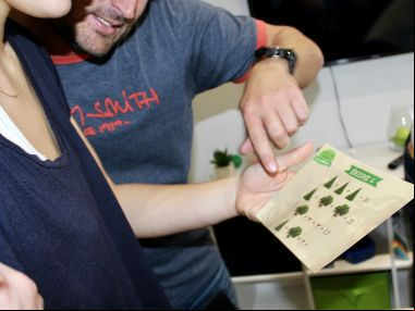 team-building-ecologique-activite-equipe-developpement-durable