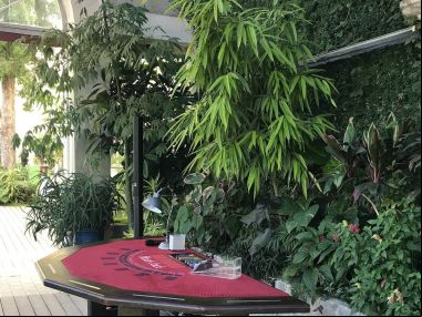 soiree-casino-entreprise-a-Jardin-des-plantes-Orleans.